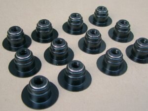 Valve Stem Oil Seal C3948578/5448124 for Cummins 6L Engine